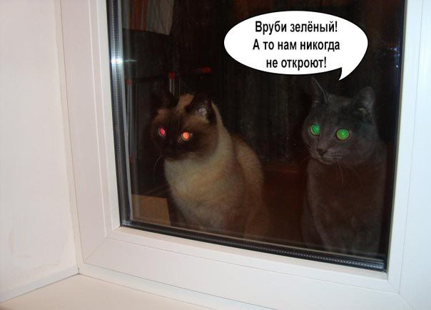 Прикольные фотомемы и демотиваторы