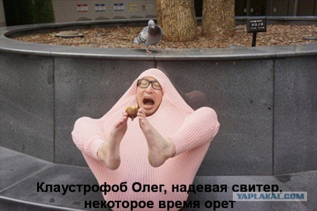 Смешные картинки с надписями