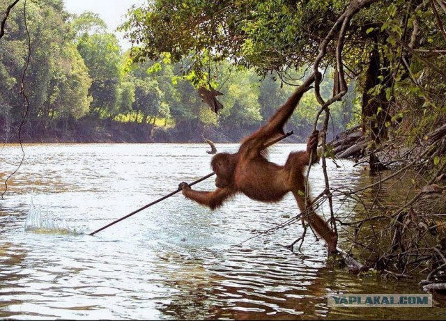 Подборка интересных и веселых картинок