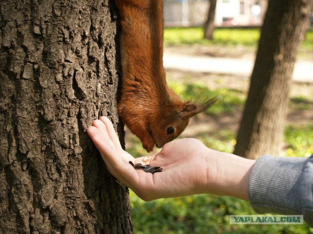 Подборка интересных и веселых картинок