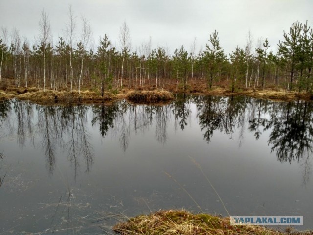 Рыбалка на Белом море