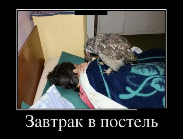 Самые смешные животные
