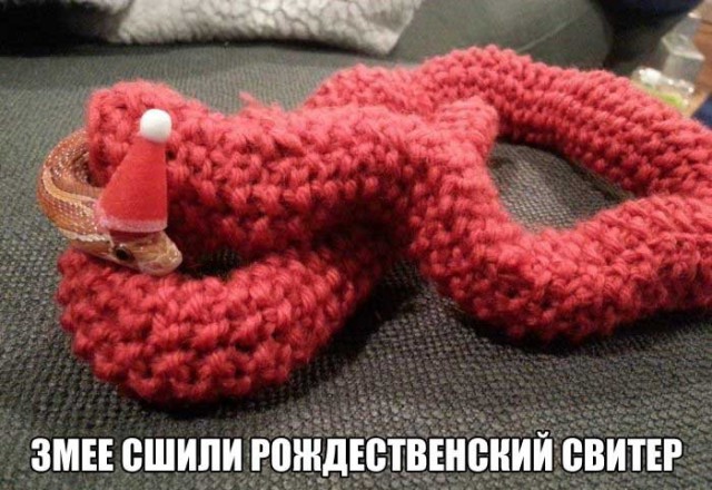 Подборка интересных и веселых картинок