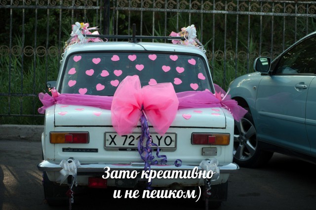 Подборка безудержного веселья