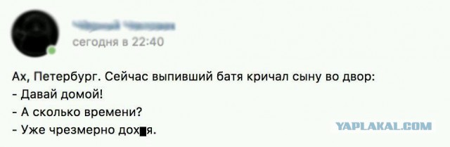 Подборка интересных и веселых картинок