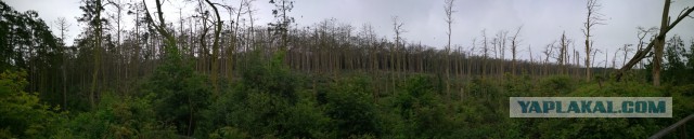 Как могла бы выглядеть русская деревня под грузом европейских ценностей