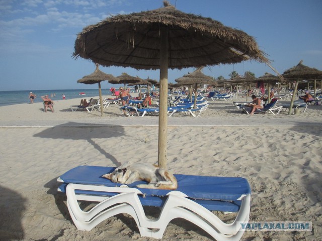 30 снимков, которые помогут улыбнуться даже в самый ненастный день