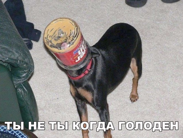 Нестандартный юмор
