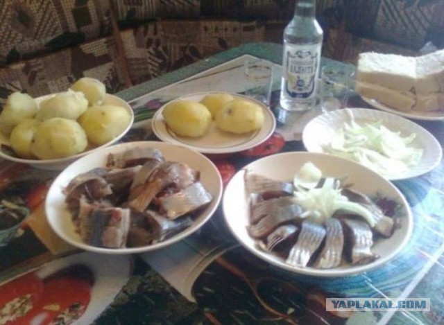 Командировка. В леса