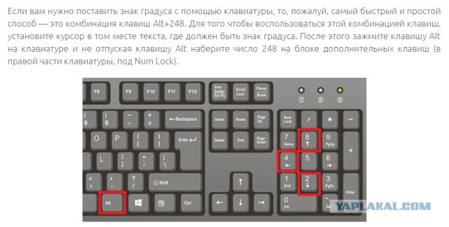 Люди, чья изобретательность работает на уровне рефлекса