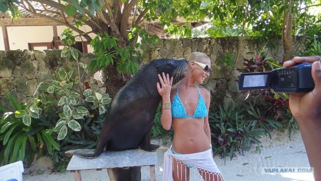 Послушай, что я тебе скажу, детка...