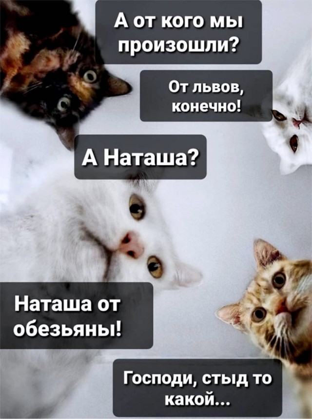 Наташа, вставай!