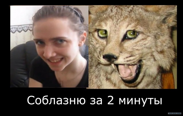 Таксидермия + наркомания