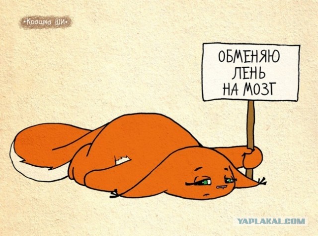 Лисички, картинки