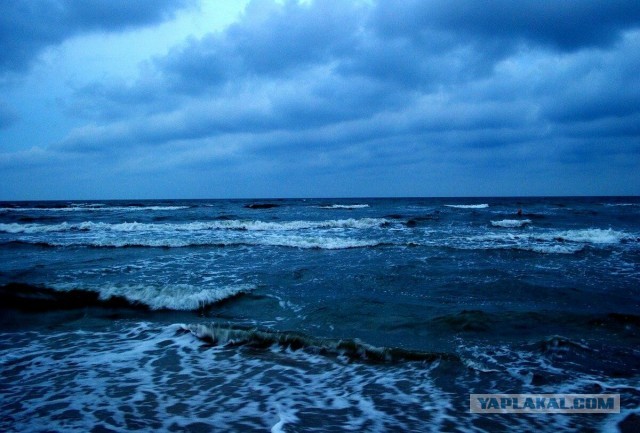 Чёрное море из-за своей географии стало хранилищем сероводорода и миной замедленного действия