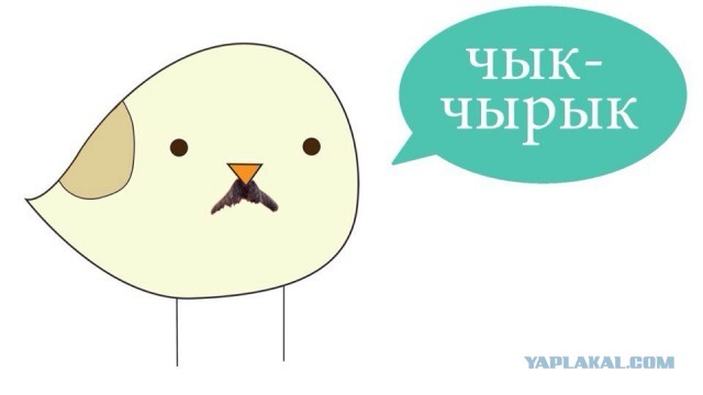 Во время речи президента США Джо Байдена об инфляции на него нагадила птица