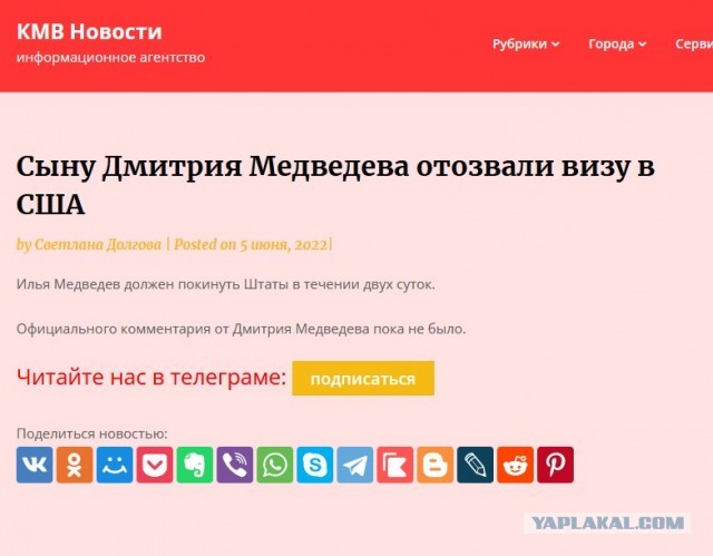 ️Сыну Дмитрия Медведева отозвали визу в США
