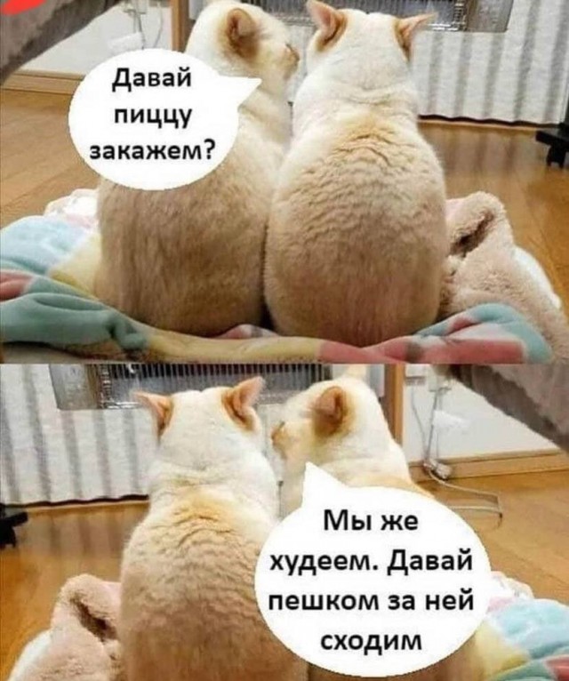 Картинки аморальные и всякие разные - 38