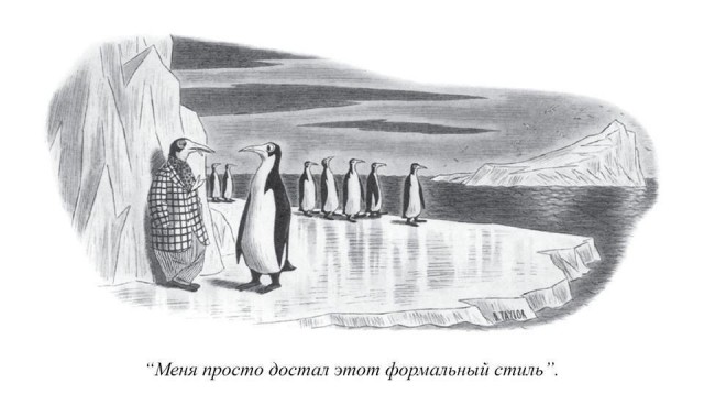 Когда на дороге встречаются 2 группы пингвинов...