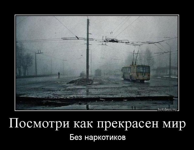 Вся "соль" в танце