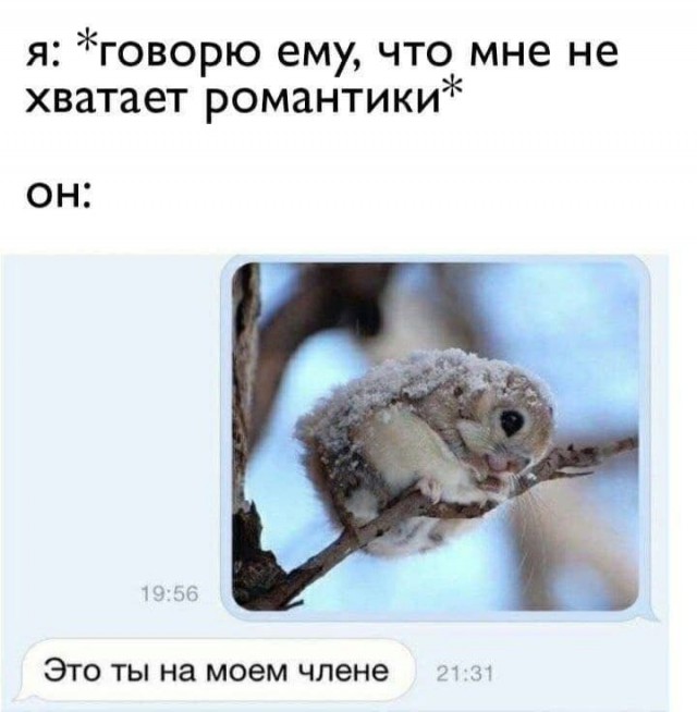 45 пошло-баянистых картинок
