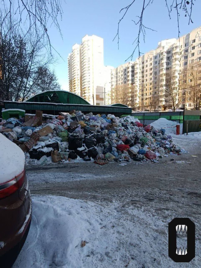 В Химках мусорный коллапс