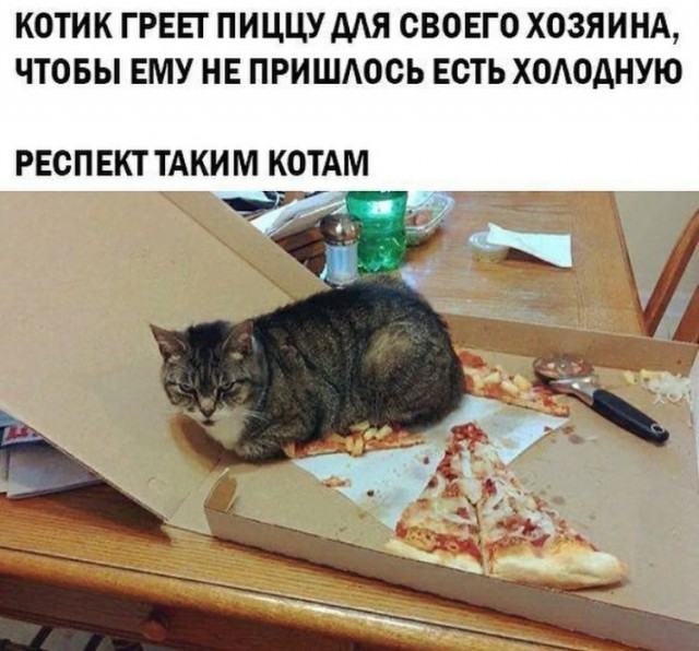 Завалялось тут случайно немного забавных картинок