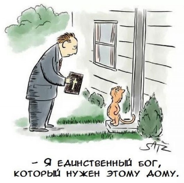 Так себе картинки 12.06.25