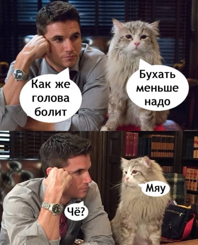 Кот...