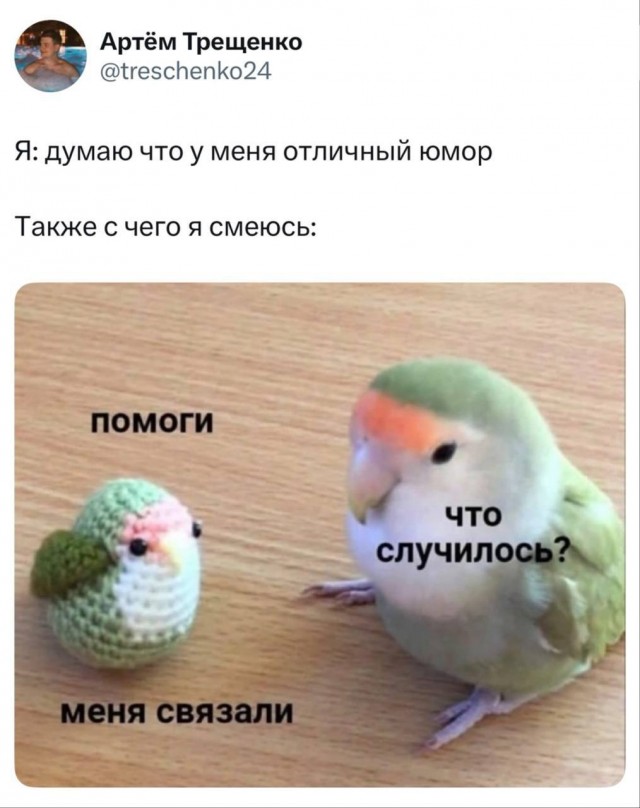 Немного картинок