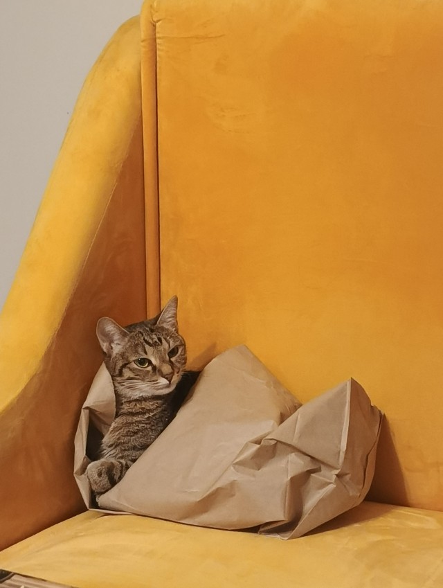 И смотрит....