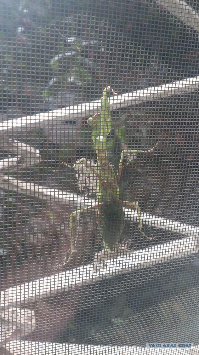 А что у Вас сейчас?