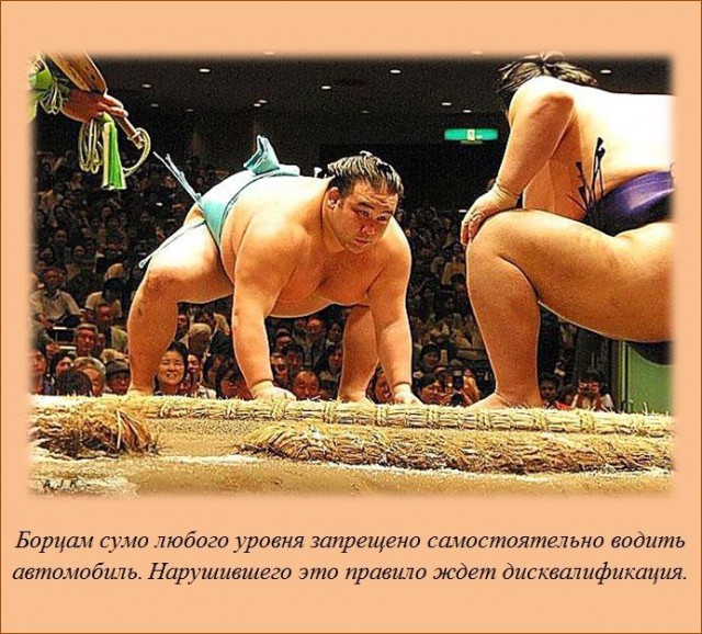 20 фактов обо всем