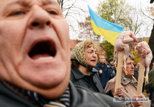 Годовщина Голодомора во Львове