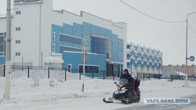 Новый Уренгой-Надым, покатушки  в выходные на День Оленевода