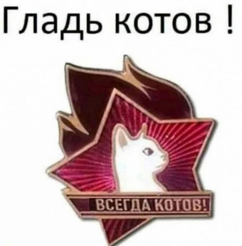 Трассовая шлюха  - ЯПлакалъ